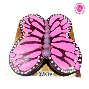 Butterfly Shape Cake